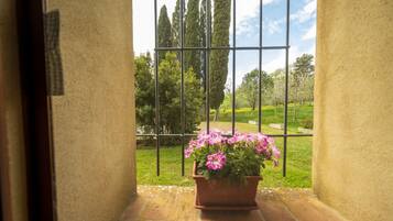 Land view from property