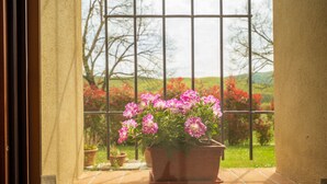 Land view from property - Agriturismo Due Ponti (Chianni)