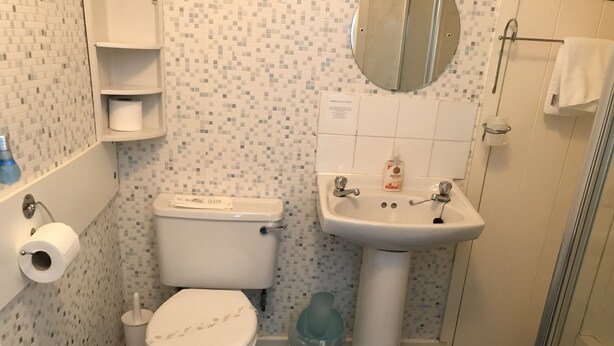 Une salle de bain avec des toilettes, un lavabo et une douche.