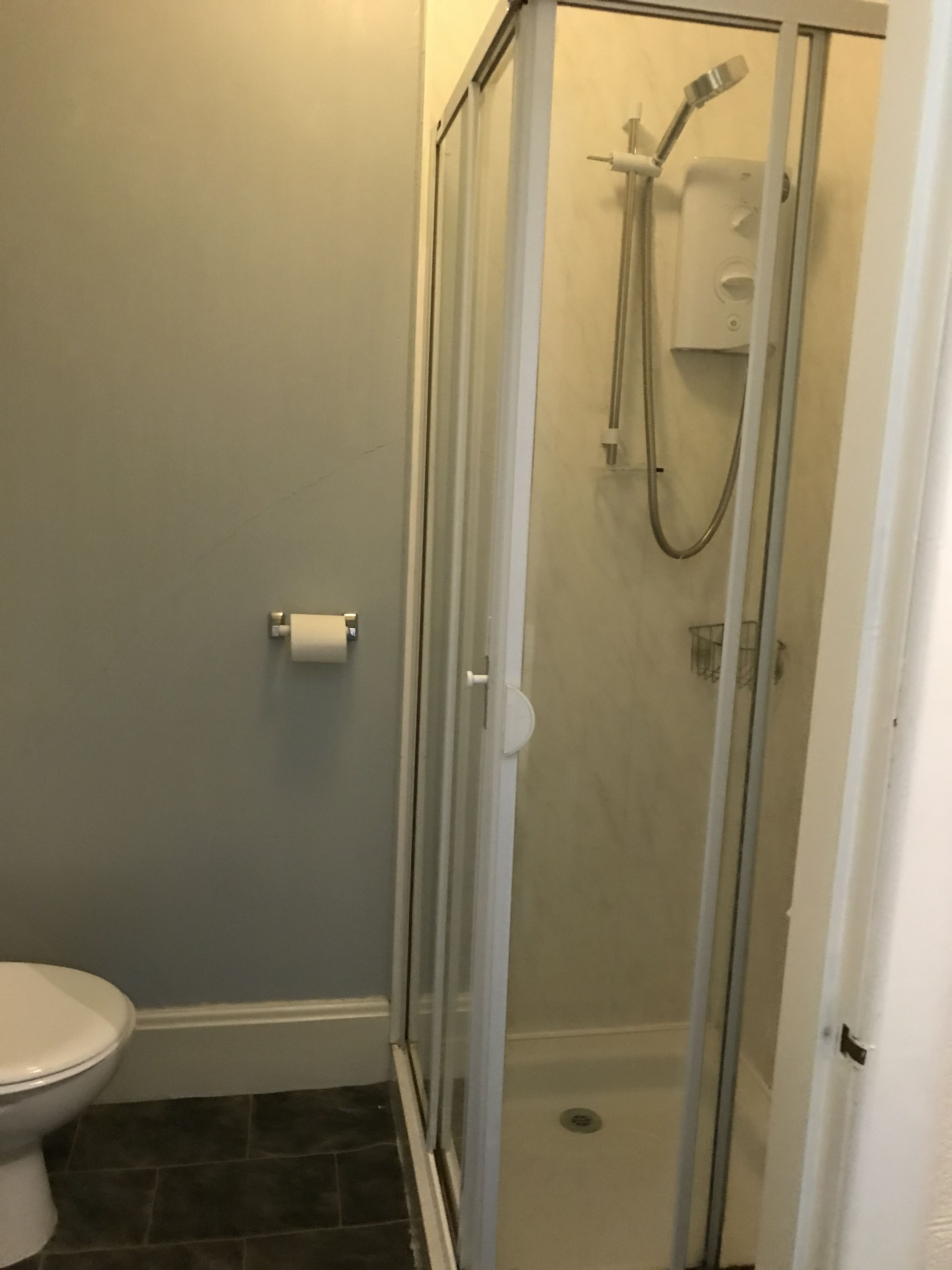 Un petit espace douche fermé, doté d’une porte en verre, de toilettes et d’un rouleau de papier toilette fixé au mur.