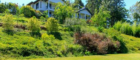 ملاءات من القطن المصري وأغطية فراش متميزة ومكتب وستائر تعتيم