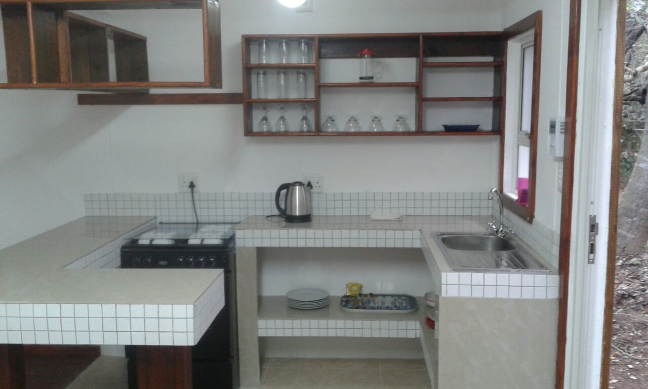 Una cocina compacta con estufa, lavamanos y repisas para vajilla.