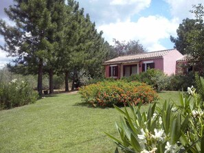 Une maison avec un toit rouge et un jardin bien entretenu, où l’on trouve différentes plantes et fleurs.