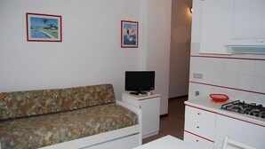 Une petite pièce, de taille modeste, comprenant un canapé, un téléviseur, un coin cuisine avec une cuisinière à gaz, et deux tableaux encadrés accrochés au mur.