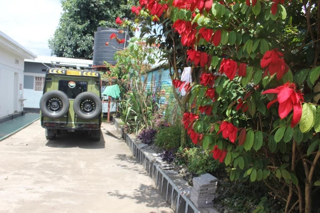 A green vehicle parked on a concrete surface with a row of red flowers and green foliage beside it.