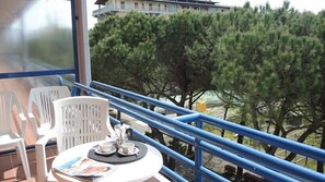 Apartment, 2 Schlafzimmer, Balkon | Balkon