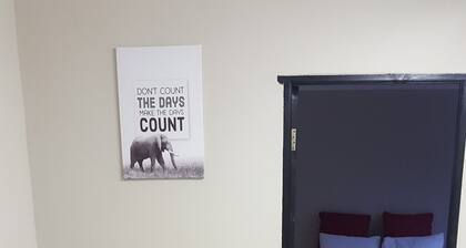 Man Cave Suite property is also rated for the best value in Swakopmund!
