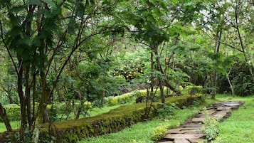 Khuôn viên nơi lưu trú