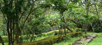 Red Rocks Campsite & Guesthouse