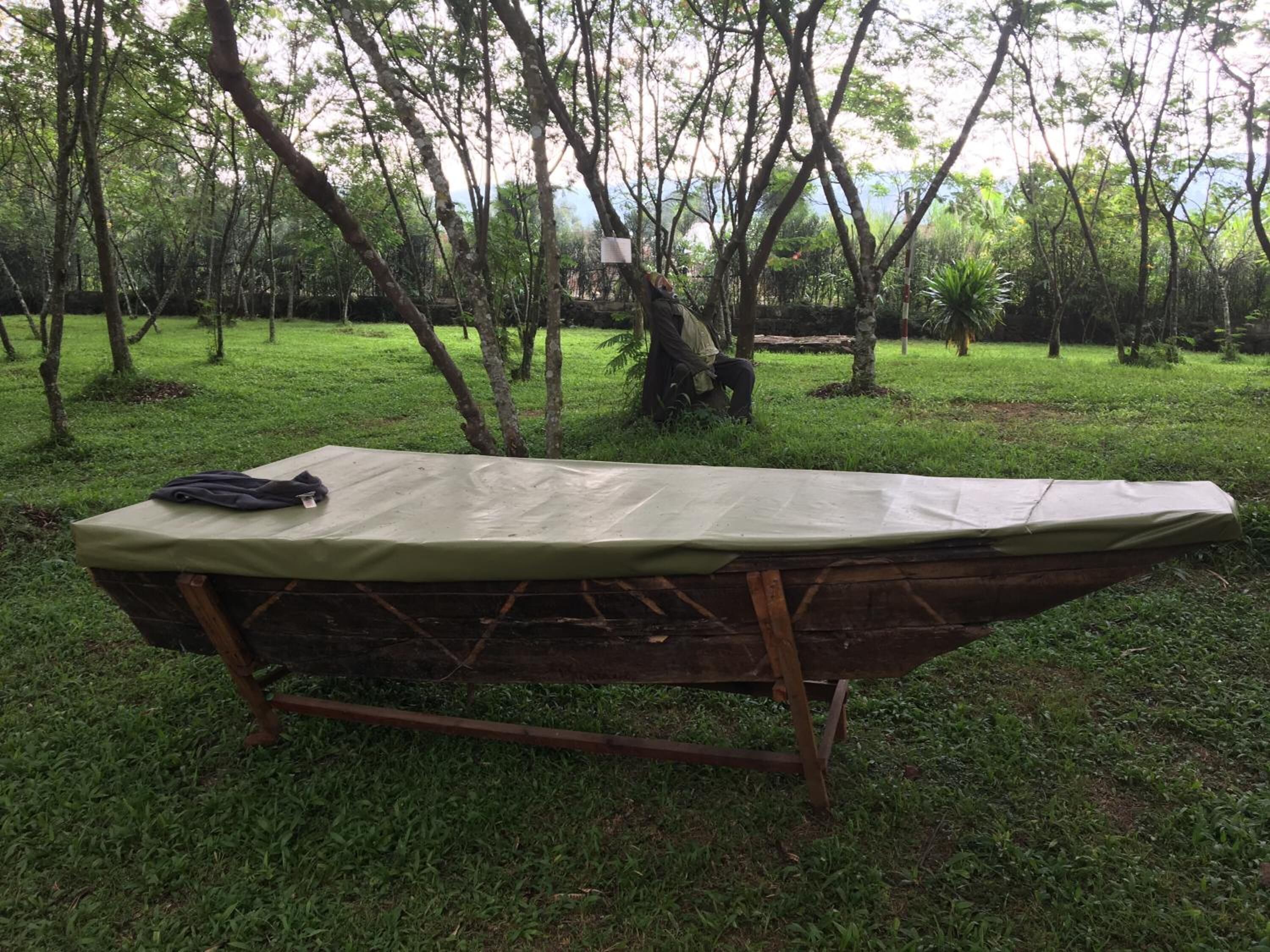 Una hamaca con funda verde en un área cubierta de pasto, rodeada de árboles.