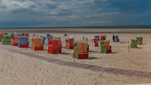 Una playa con sillas de playa numeradas y un paseo marítimo de madera.
