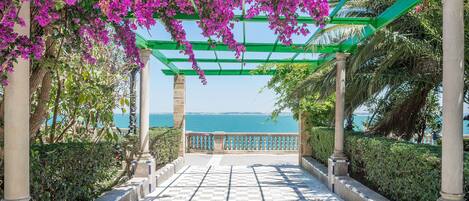 Terassi/patio