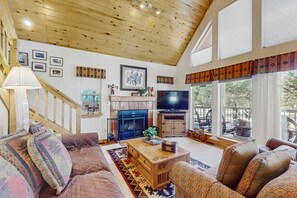 TV, fireplace, DVD player, video library