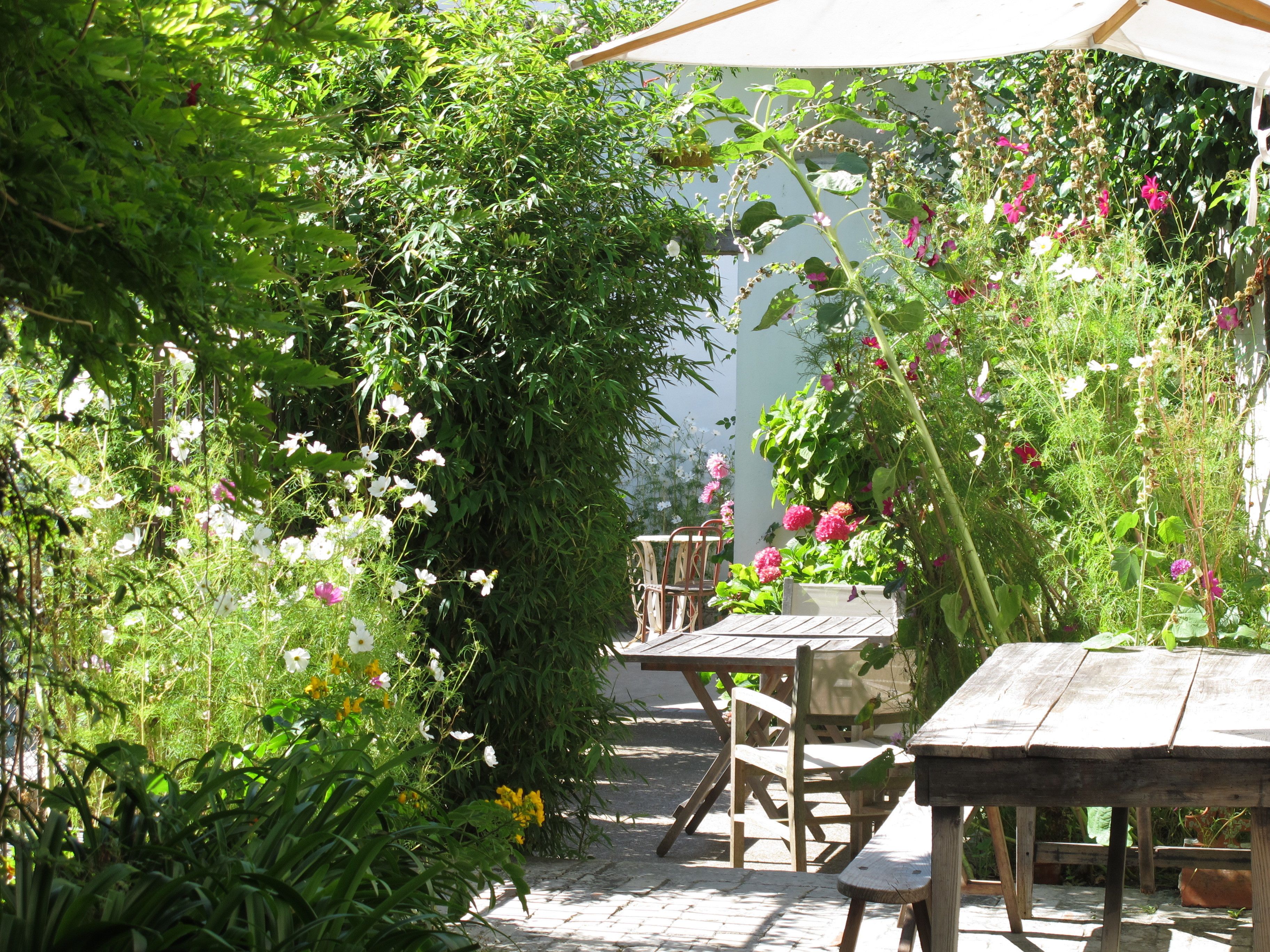 Photo - Hôtel Le Sénéchal