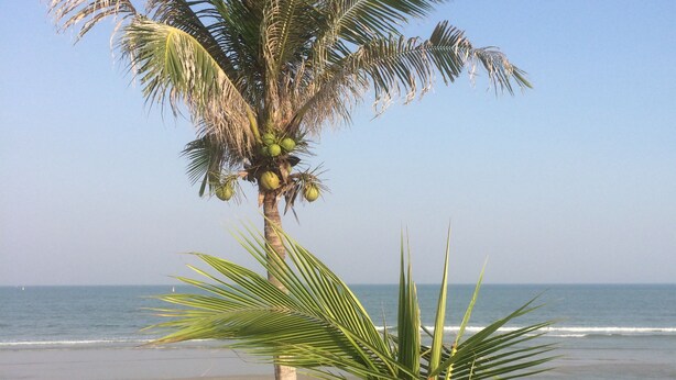 Beach - thai scout offers you holiday homes at affordable prices  (Pranburi)