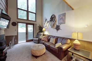 TV, DVD player, video library, stereo