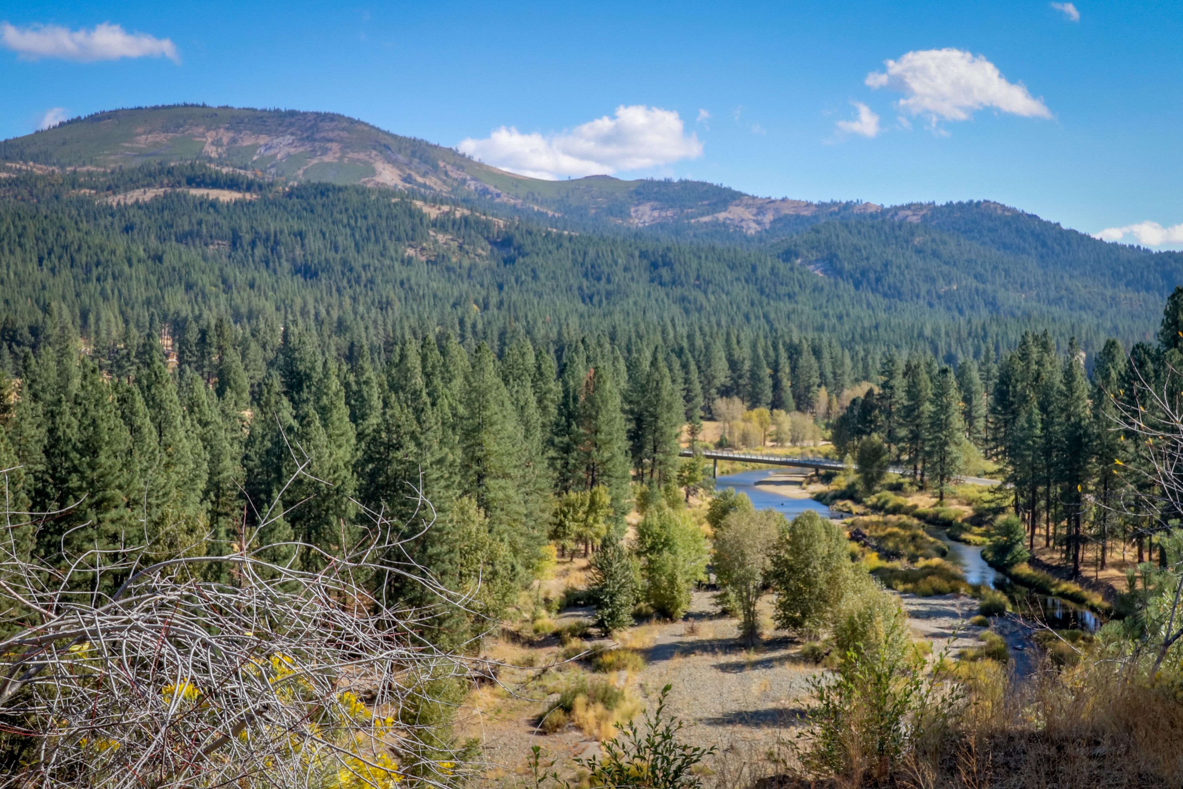 Rustic riverfront house with wood stove & valley views from private deck