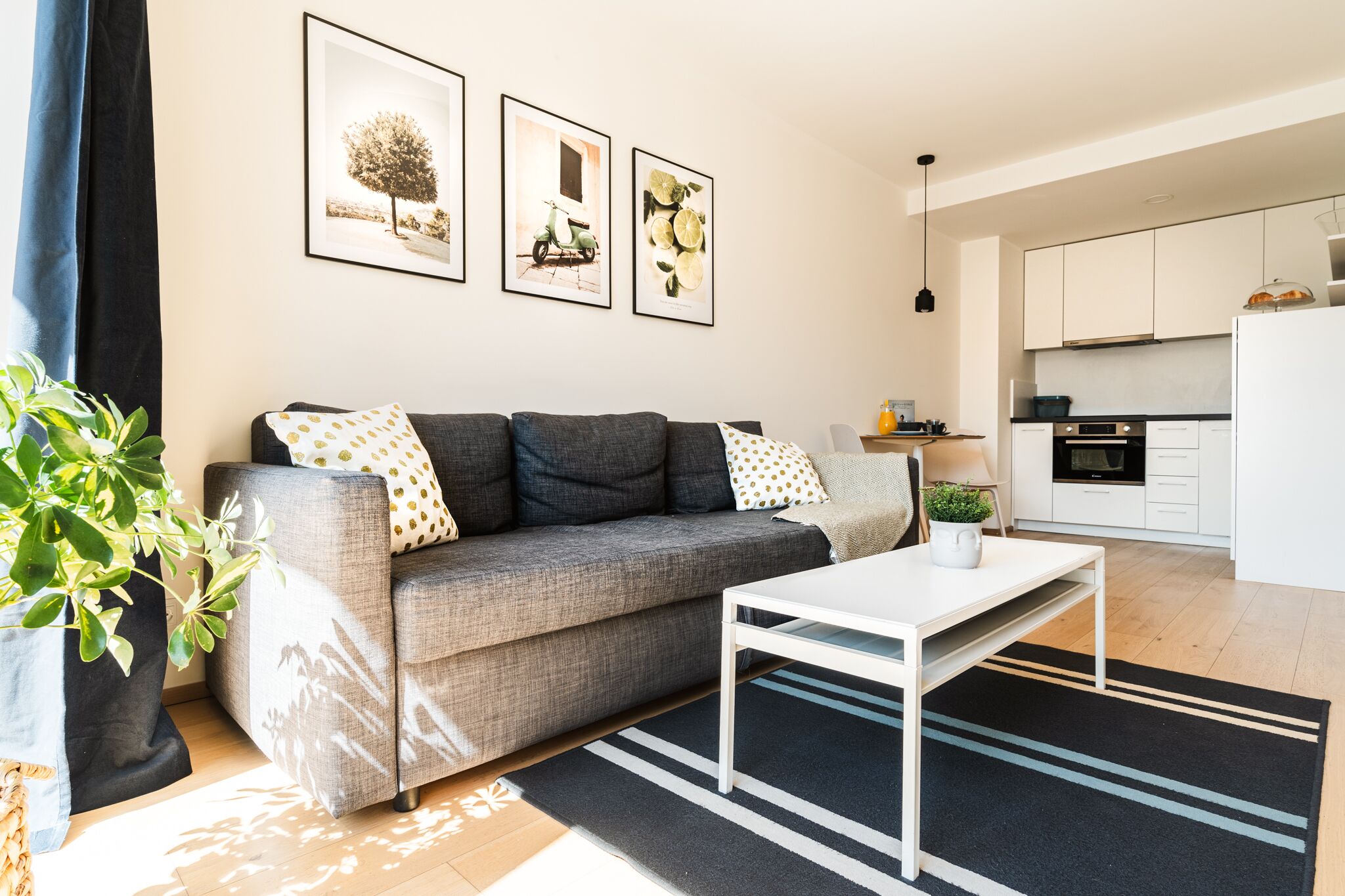 Ein modernes Wohnzimmer mit einer grauen Couch, einem weißen Couchtisch und einem schwarzen Teppich. An der Wand befinden sich gerahmte Bilder, eine Kübelpflanze und im Hintergrund ist eine Küchenzeile zu sehen.