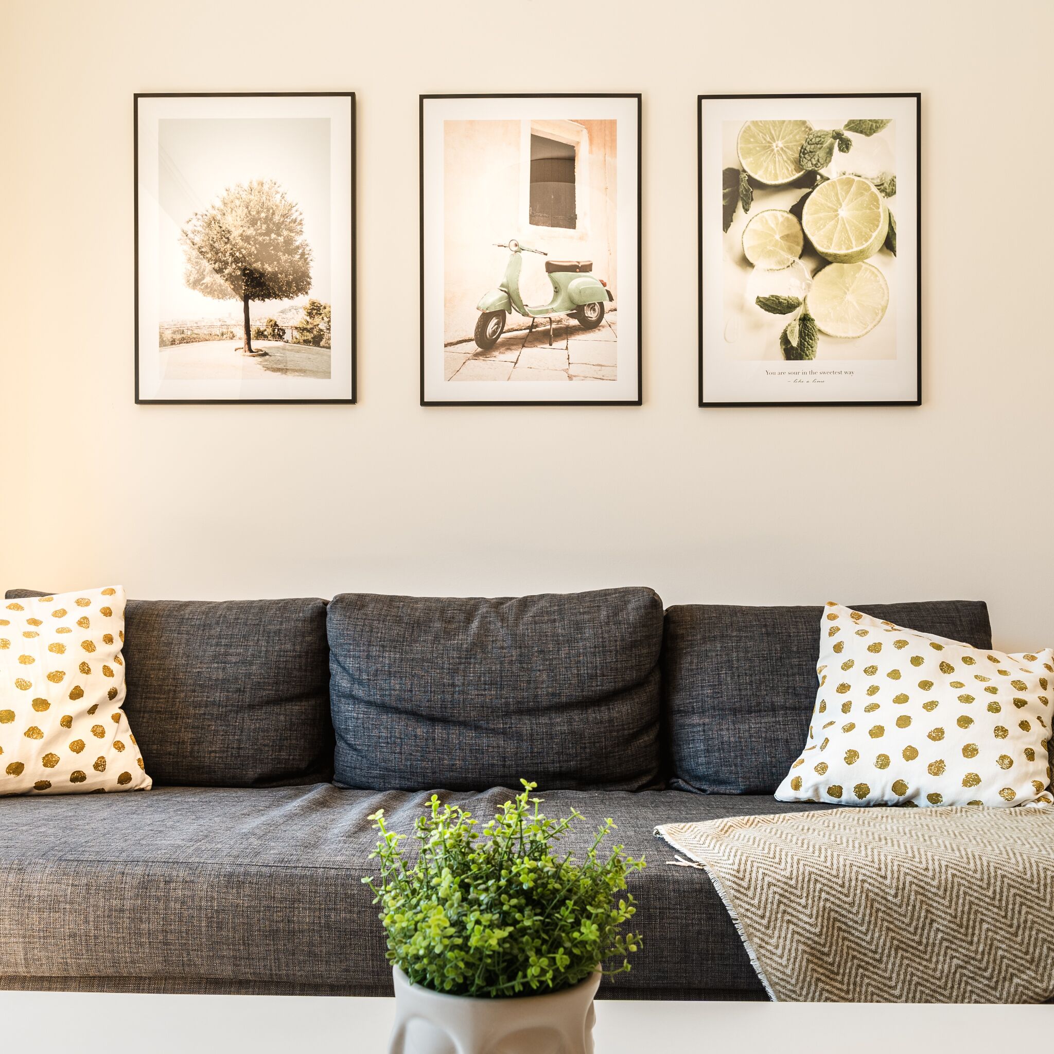 A grey sofa with patterned cushions, a potted plant, and three framed pictures on the wall.