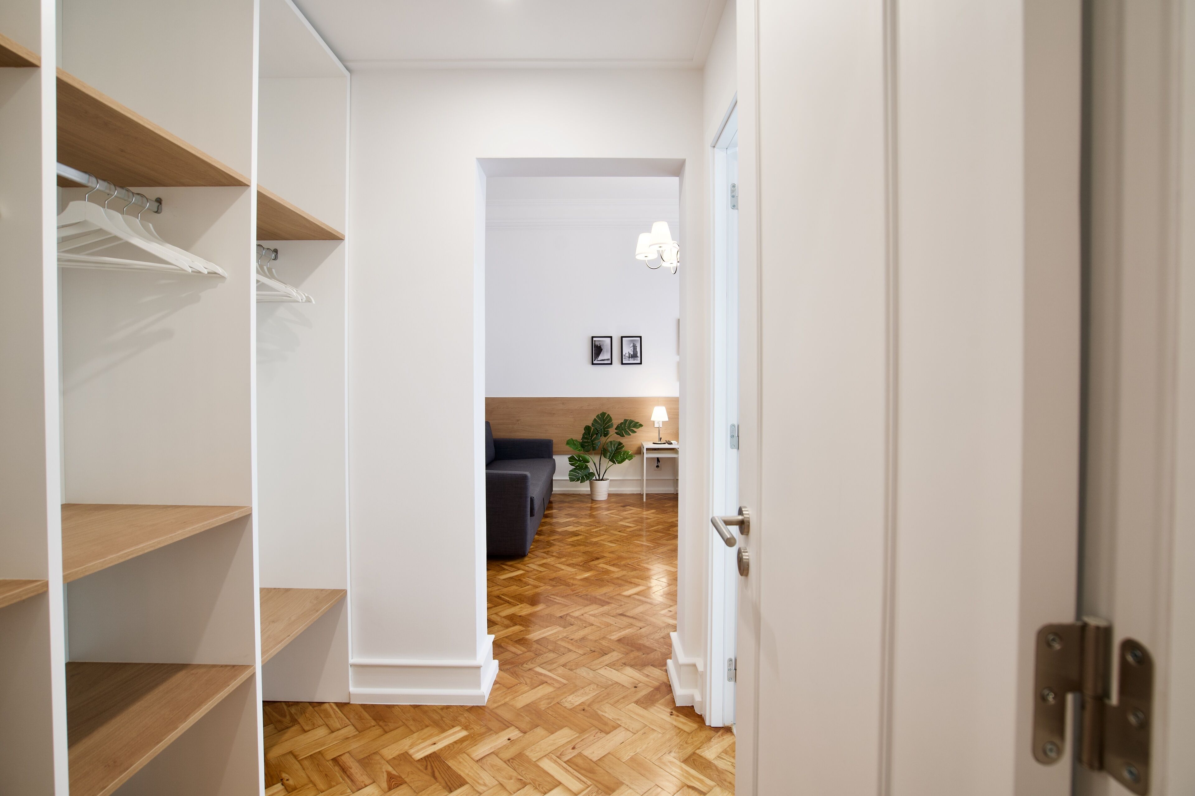 Un couloir au plancher de bois menant à un espace de vie comprenant un canapé et une plante.