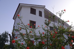 Exterior - Stella dei venti (Vittoria)