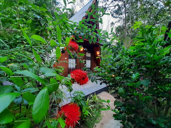 Family Tree House, 2 Bedrooms | Front of property