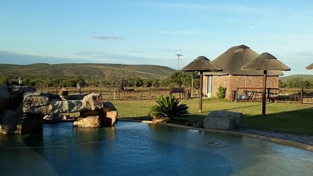 Outdoor pool - Charihandra Private Game Lodge (Addo)