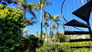 A view of tall palm trees and dense foliage under a clear blue sky.