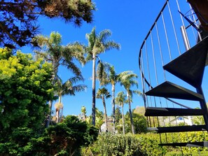 A view of tall palm trees and dense foliage under a clear blue sky.