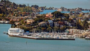 A marina with boats docked, surrounded by residential buildings and trees.