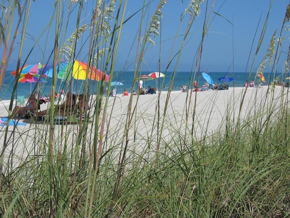 A beach with tall grass in the foreground, colorful umbrellas, and people relaxing on the sand. - Waterfront 1BR condo in Marco Island with pool, marina access, Wi-Fi, and kitchen. (Marco Island)