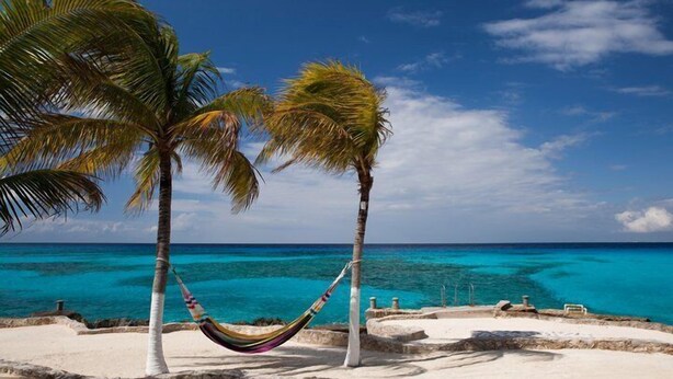A beach scene with two palm trees, a hammock, and a clear blue ocean. - Small is Beautiful. Relax ON the beach, convenient & near the Presidential Villa (Cozumel)