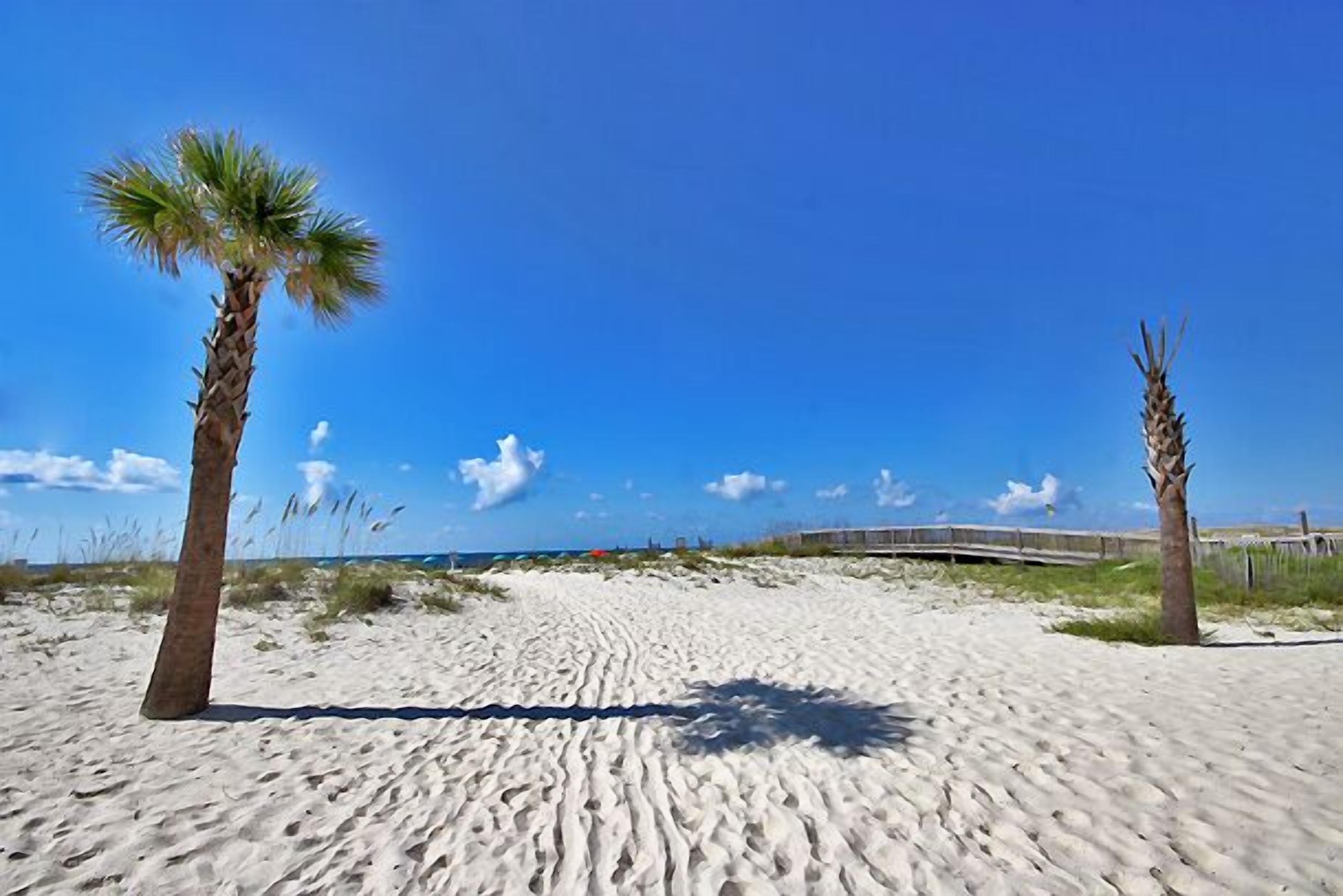 Ein sandiger Strand mit zwei Palmen und einer Holzpromenade im Hintergrund.