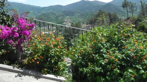 Ein Balkon mit Blick auf Berge und einen Garten voller Blumen.