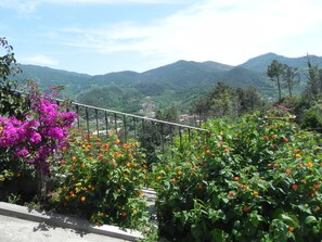 Property grounds - House with garden (Levanto)