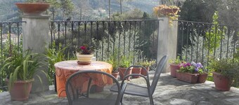 House with garden