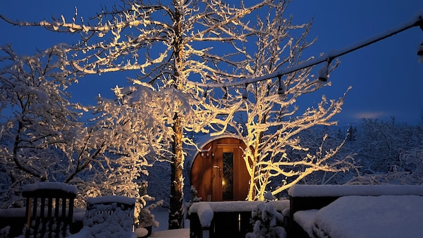 Un espace extérieur enneigé avec un chalet en bois, des bancs et des arbres couverts de neige.