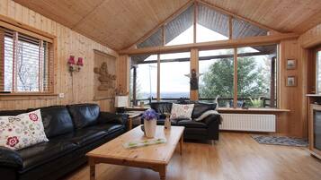 Flat-screen TV, fireplace, books