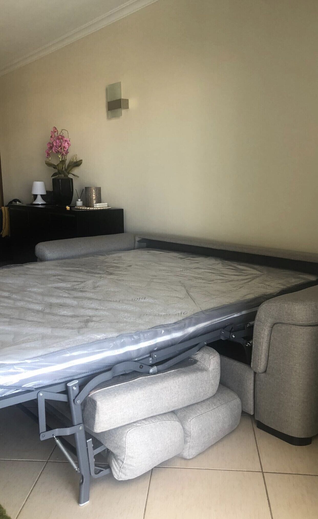 A convertible sofa bed with a grey frame and grey cushions, a small black side table with a white lamp, and a potted orchid on the side.