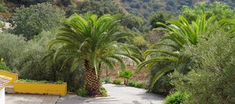 Ideal for families. Private swimming pool. Andalusian house. Very close to Malaga