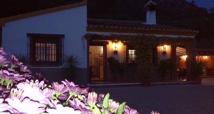 Ideal for families. Private swimming pool. Andalusian house. Very close to Malaga