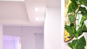 Una cocina moderna con encimera de madera, sillas rojas y una planta colgante.
