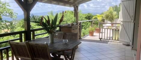 A covered outdoor area with a wooden table and chairs, a potted plant, and a view of greenery and mountains.