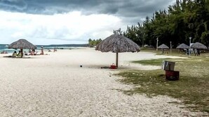 Une plage avec des parasols en chaume et un rivage sablonneux.