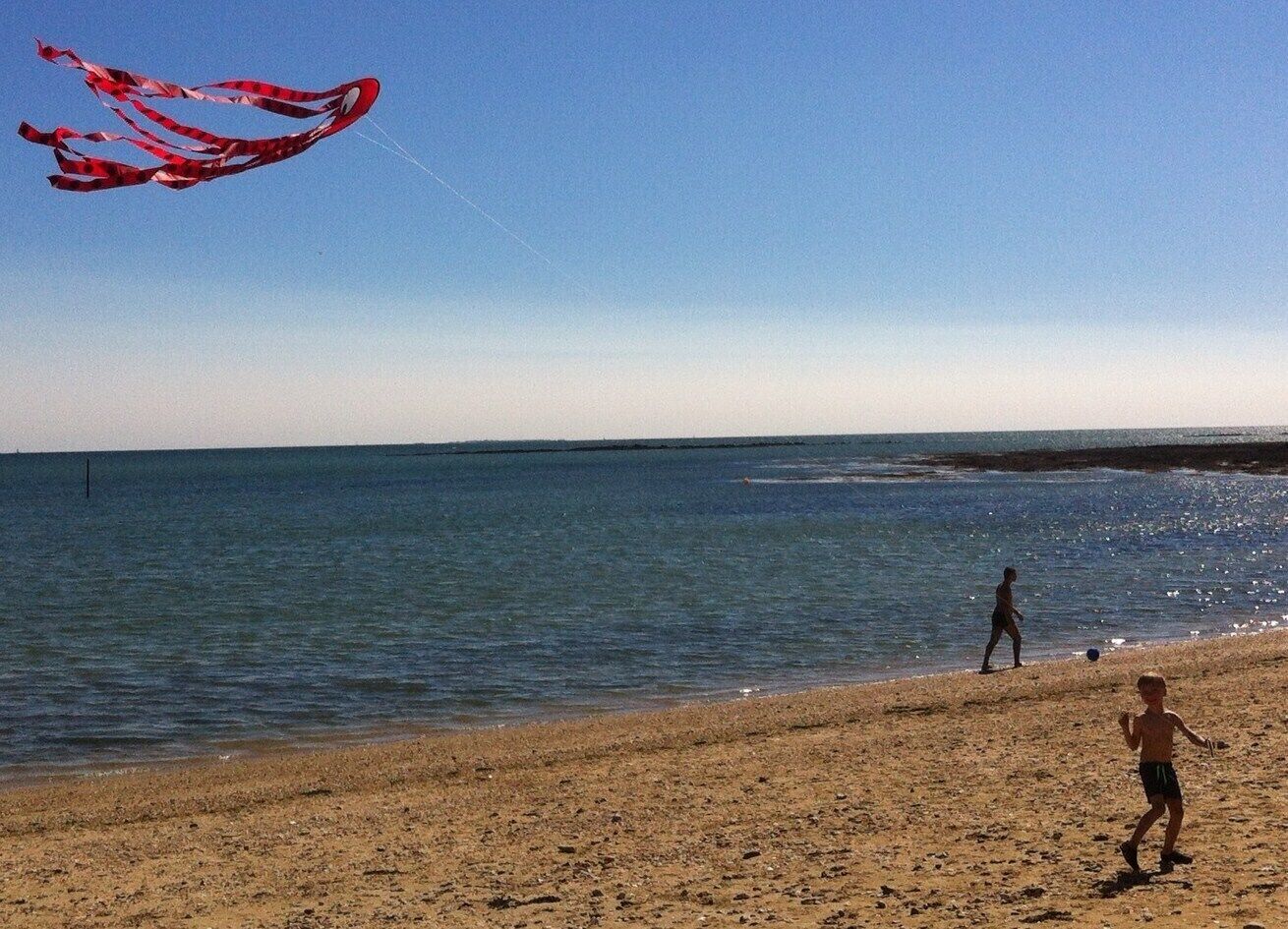 Une plage où l’on voit un cerf-volant dans le ciel.