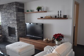 TV connectée, cheminée, lecteur de DVD, livres