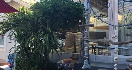 Haus in Arcachon in der Nähe des Strandes, geschmackvoll eingerichtet, Garten