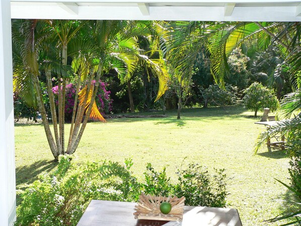 A garden with a table and chairs, surrounded by various plants and trees.