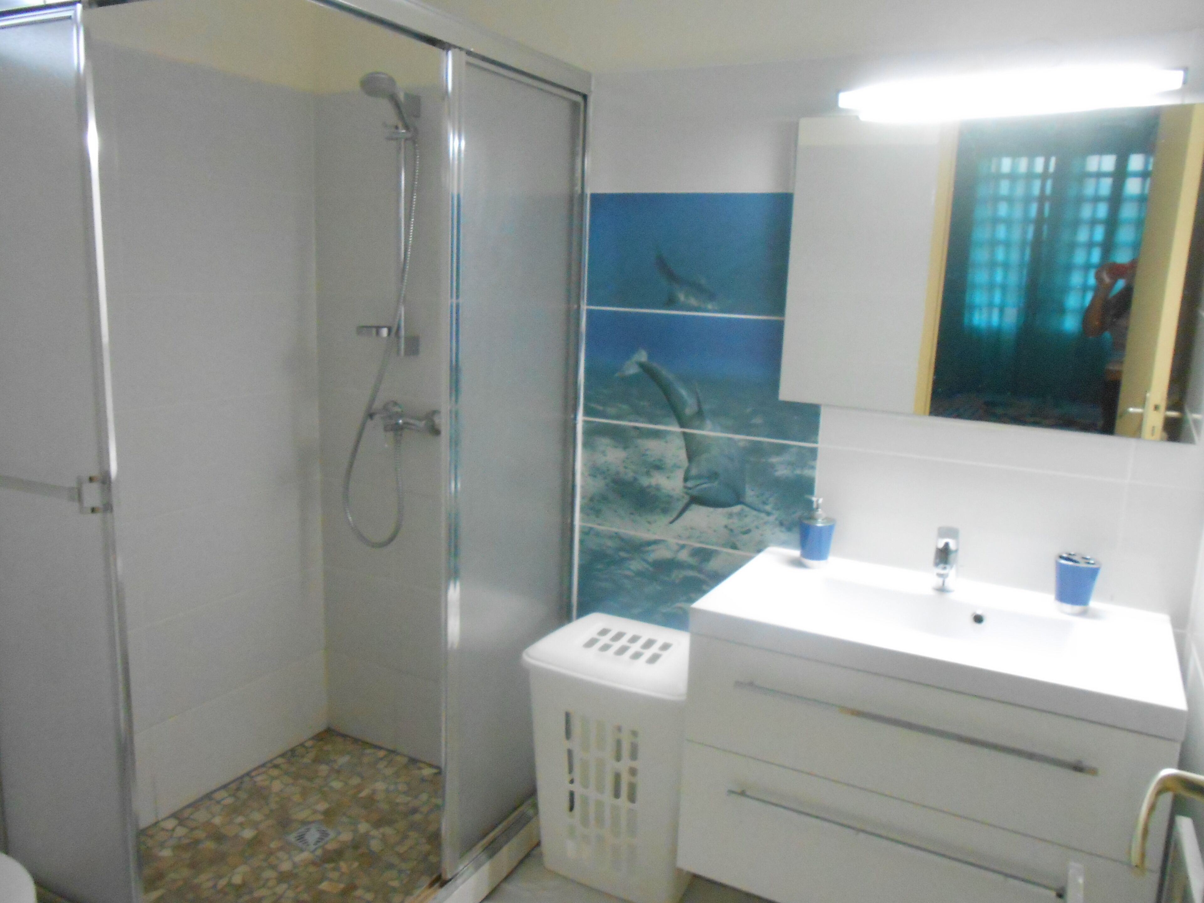 A bathroom with a shower, a sink, and a mirror.