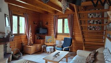 Televisión, chimenea y libros